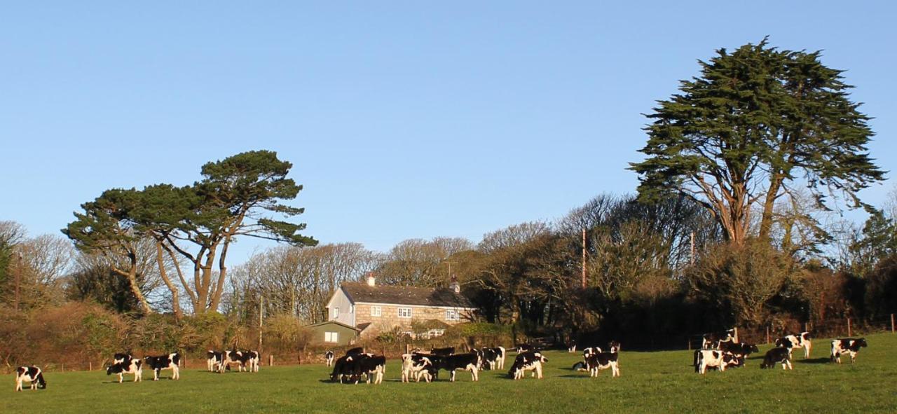 Coombe Farmhouse Bed and Breakfast St Ives Exterior foto