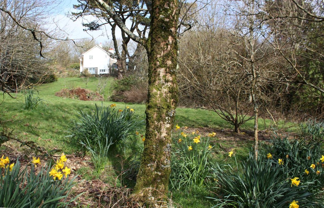 Coombe Farmhouse Bed and Breakfast St Ives Exterior foto
